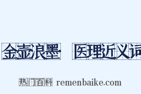 金壶浪墨·医理近义词是什么意思的图片